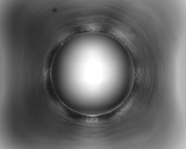 X0000088700355200705311219