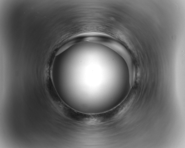 X0000088700356200705311219
