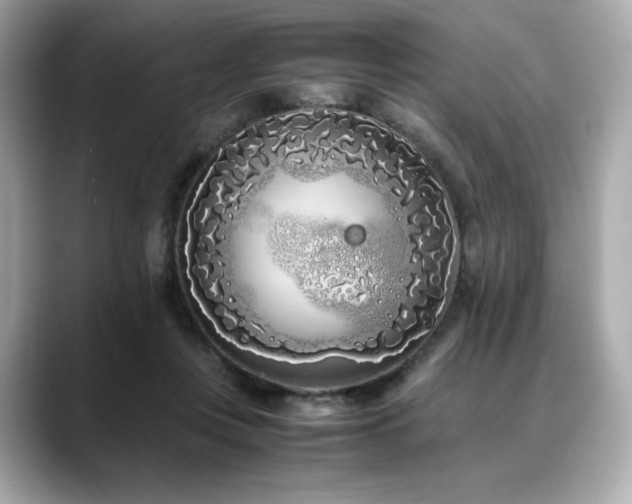 X0000088700359200705311219