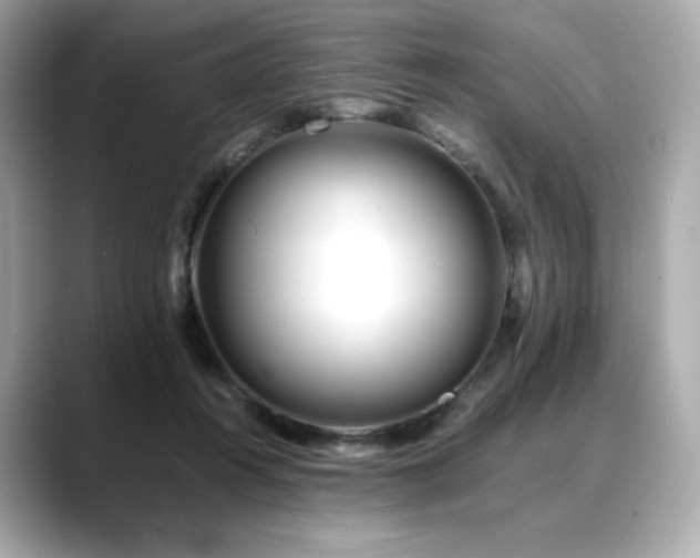 X0000088700360200705311219