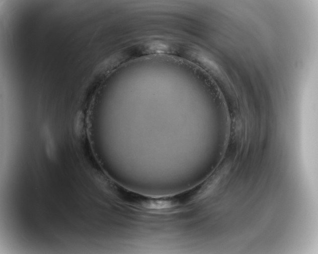 X0000088700361200705311219