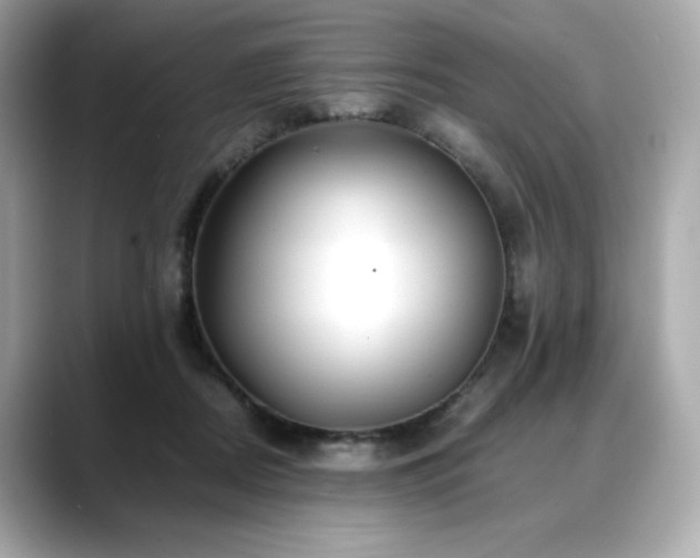 X0000088700362200705311219