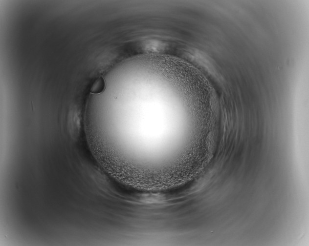 X0000088700363200705311219