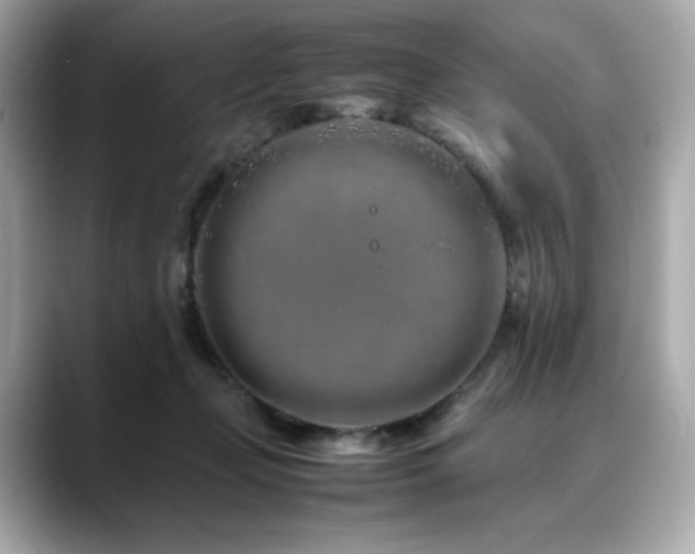 X0000088700365200705311219