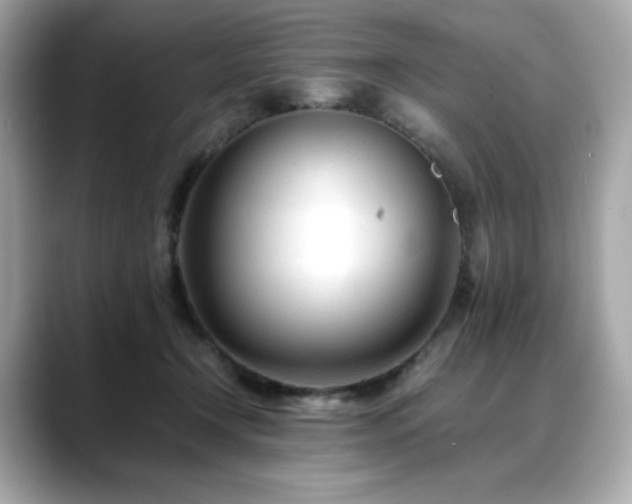 X0000088700366200705311219
