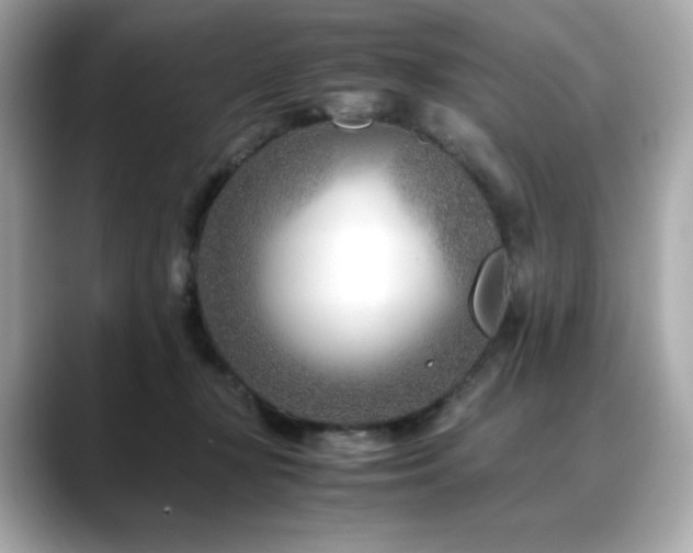 X0000088700367200705311219