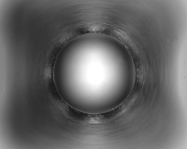 X0000088700368200705311219