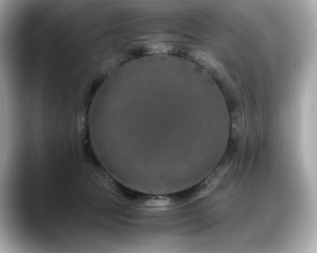 X0000088700369200705311219