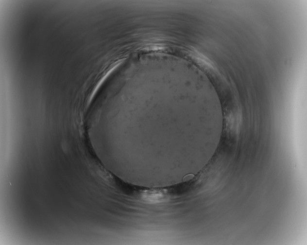 X0000088700373200705311219