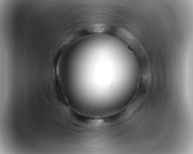 X0000088700374200705311219