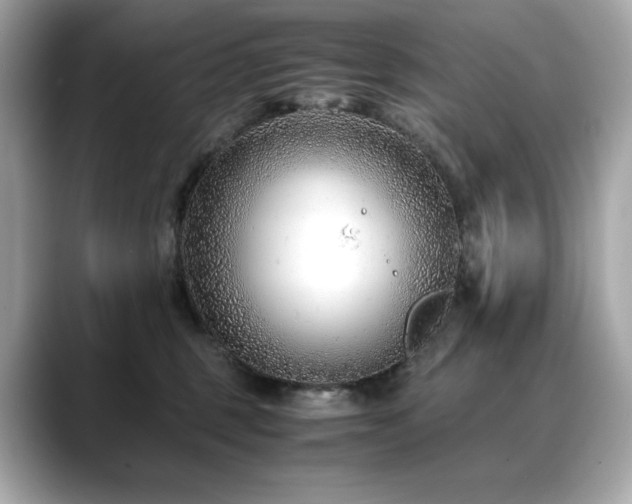 X0000088700375200705311219