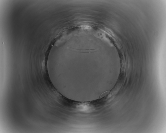 X0000088700377200705311219