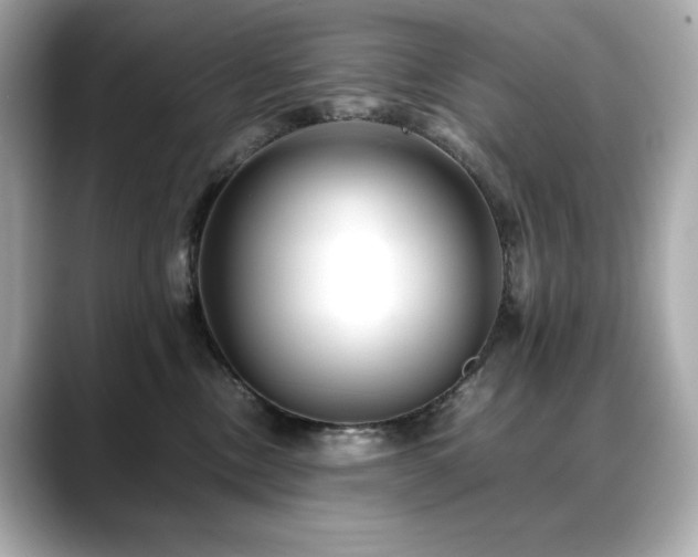 X0000088700378200705311219