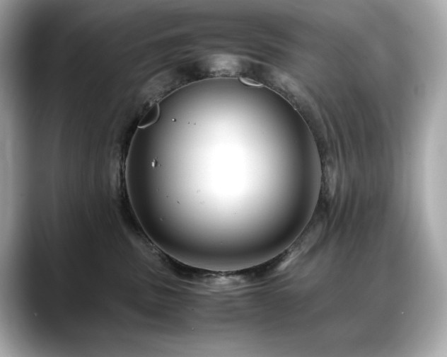 X0000088700379200705311219