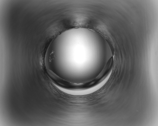 X0000088700380200705311219
