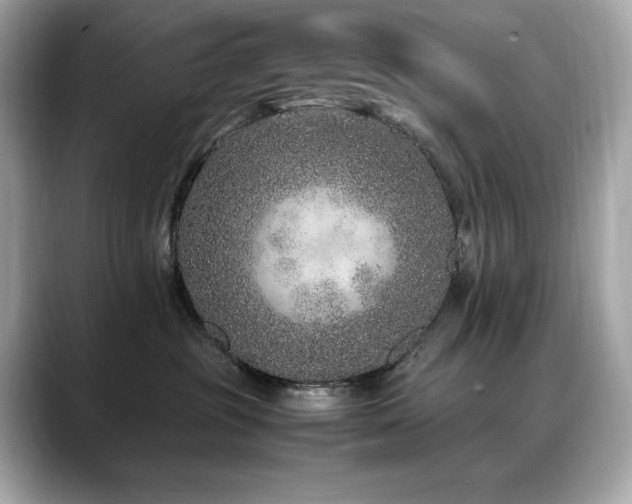 X0000088700381200705311219