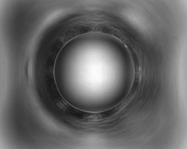 X0000088700383200705311219
