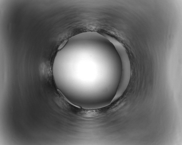 X0000088700384200705311219