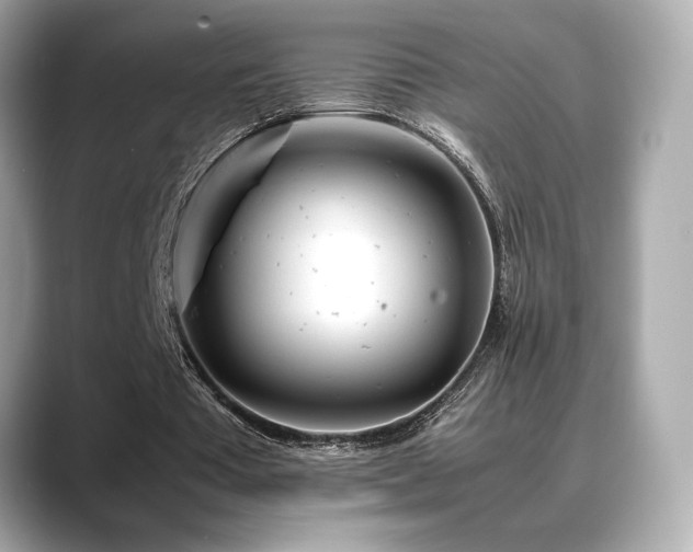 X0000088700385200705311219