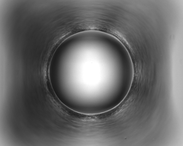 X0000088700386200705311219
