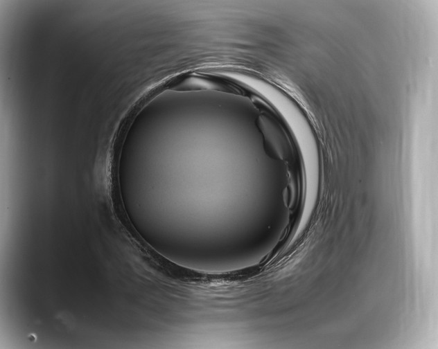 X0000088700387200705311219