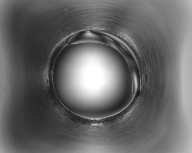 X0000088700388200705311219