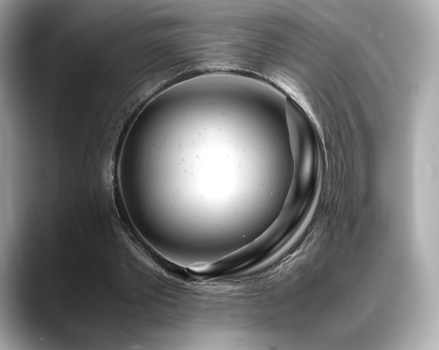 X0000088700389200705311219
