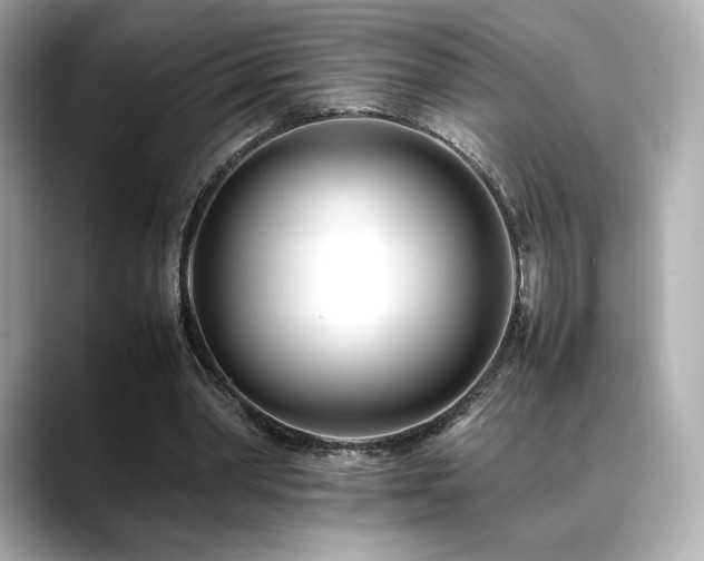 X0000088700390200705311219