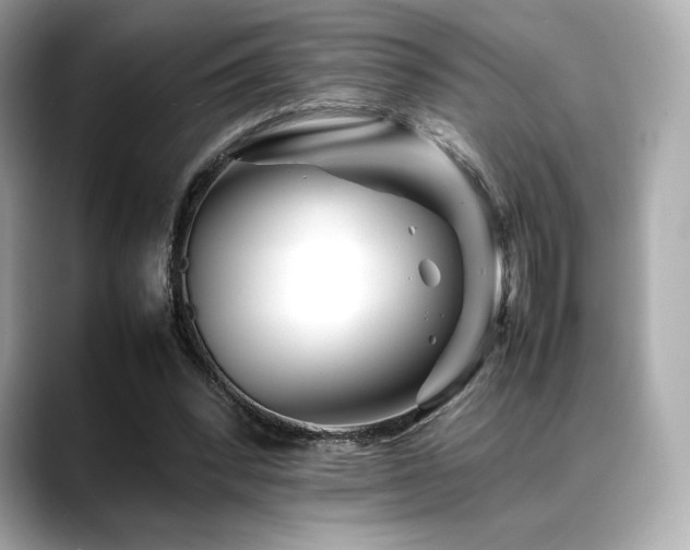 X0000088700392200705311219