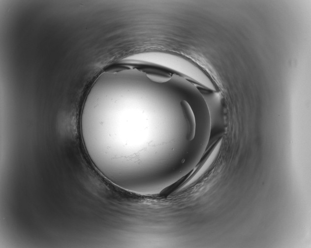 X0000088700393200705311219
