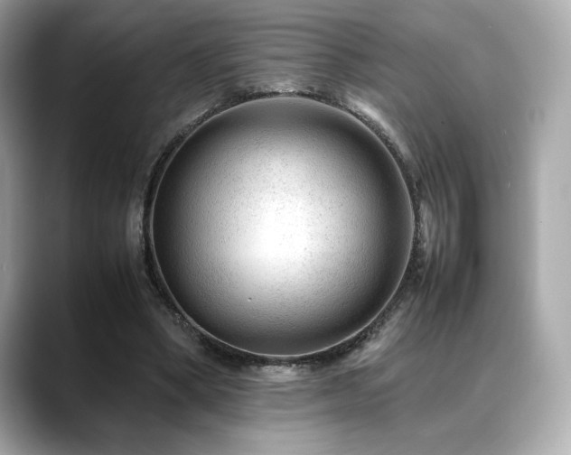 X0000088700394200705311219