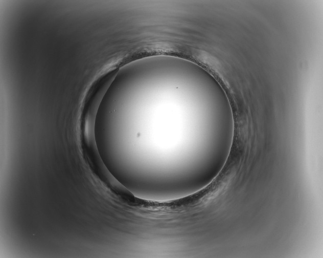 X0000088700395200705311219