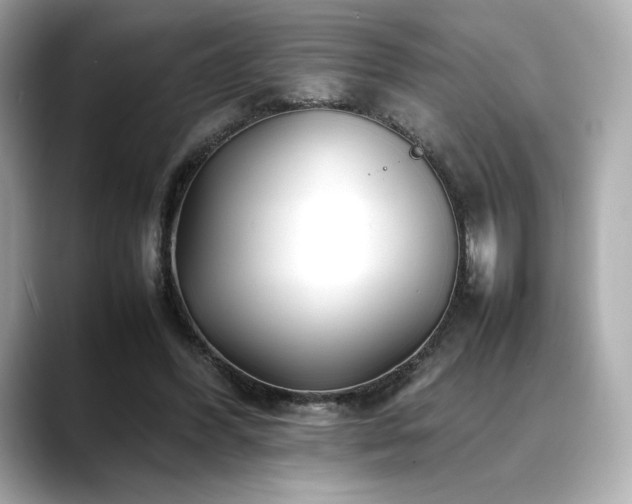 X0000088700396200705311219