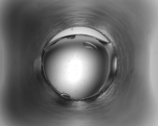 X0000088700397200705311219