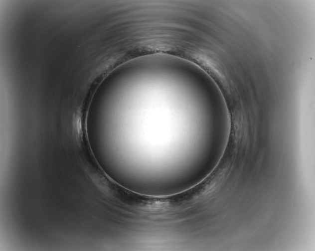 X0000088700398200705311219