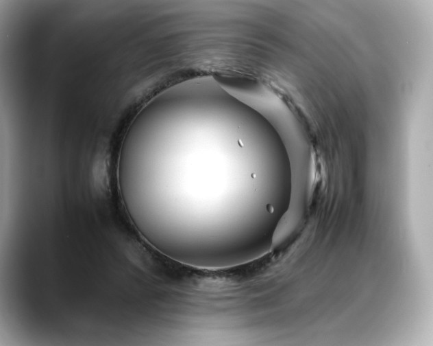 X0000088700400200705311219