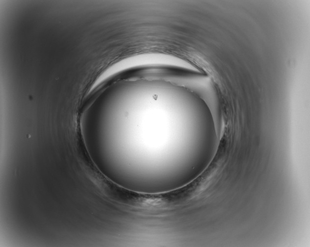 X0000088700401200705311219