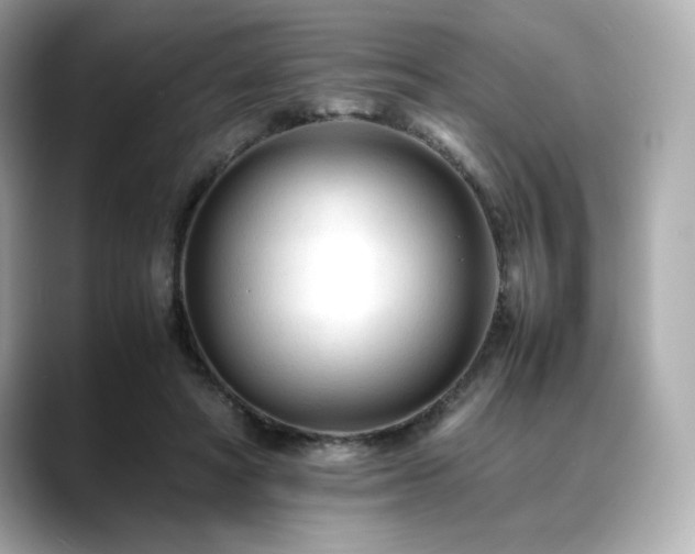 X0000088700402200705311219