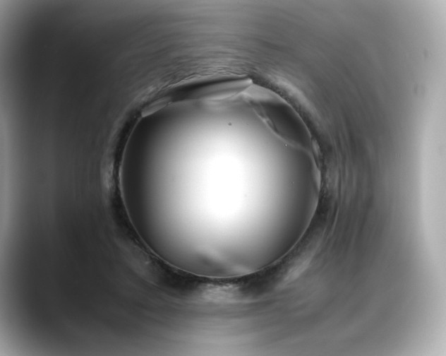 X0000088700403200705311219