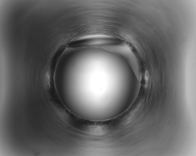 X0000088700404200705311219