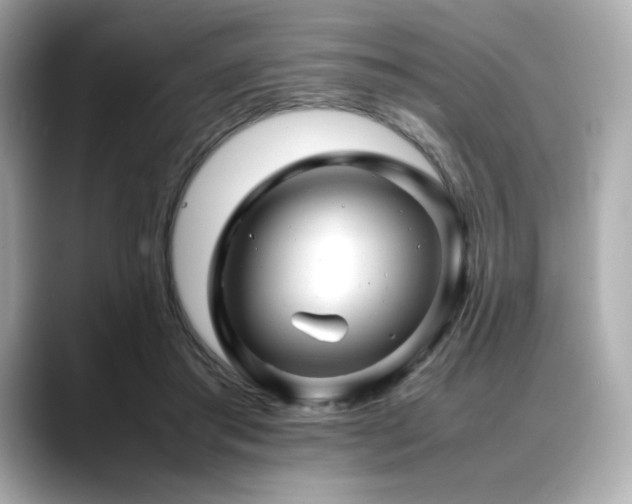X0000088700405200705311219
