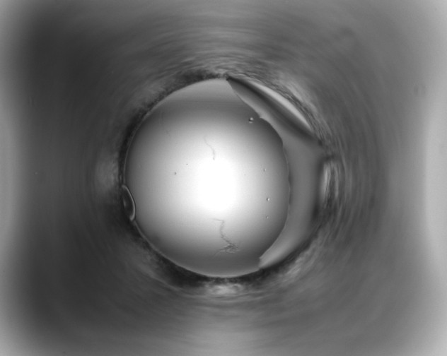 X0000088700407200705311219