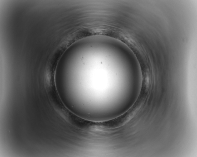 X0000088700408200705311219