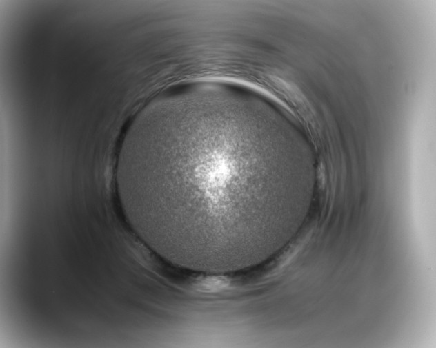 X0000088700409200705311219