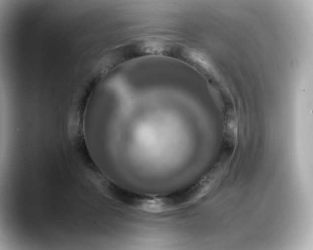 X0000088700411200705311218