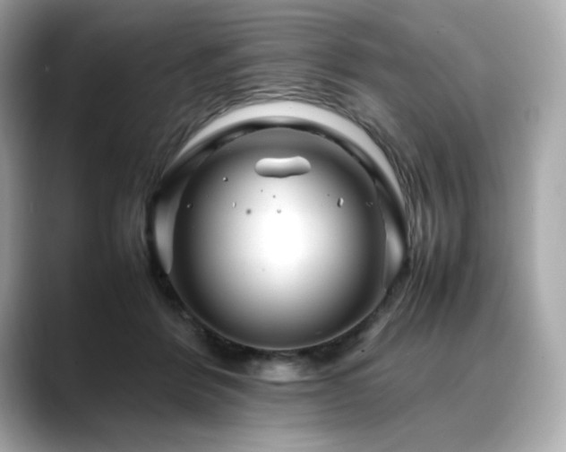 X0000088700412200705311218