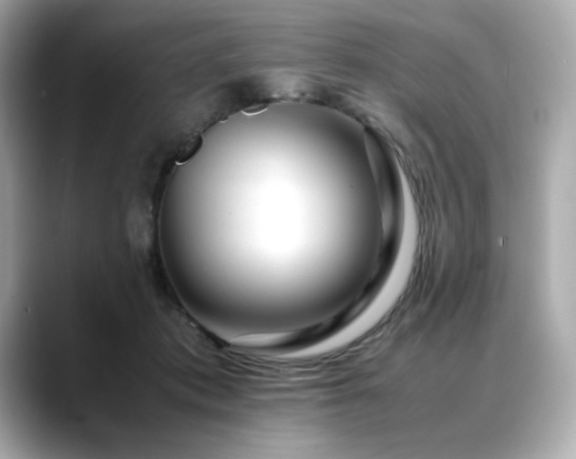 X0000088700413200705311218