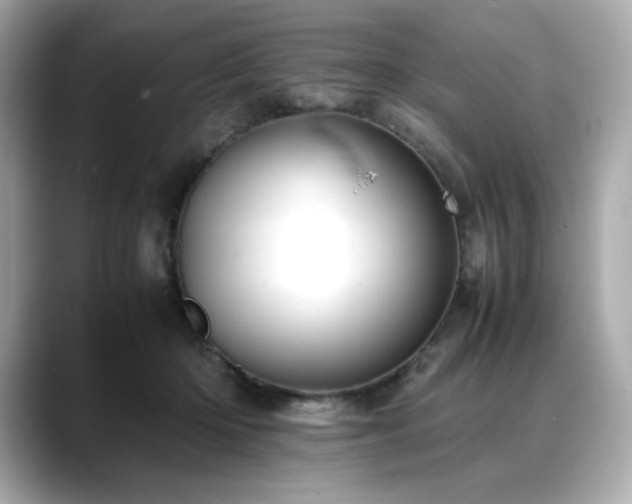 X0000088700414200705311218