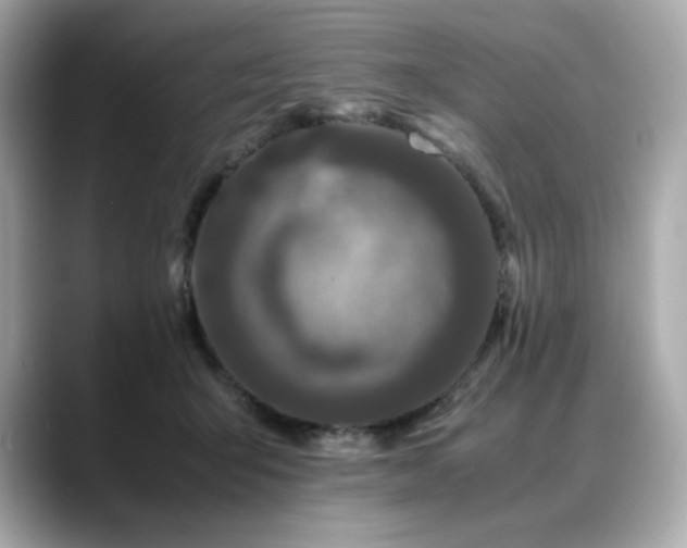 X0000088700415200705311218