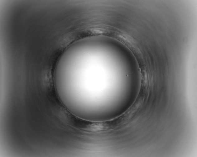 X0000088700418200705311218